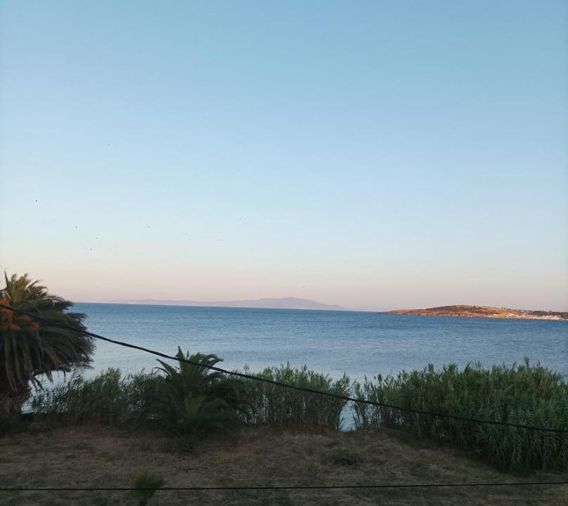 Photo of Others in North Aegean Islands