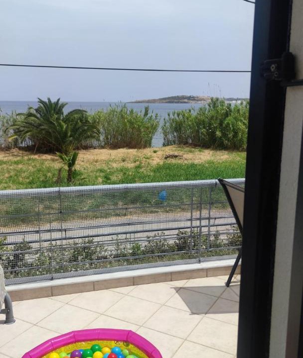 Photo of Others in North Aegean Islands