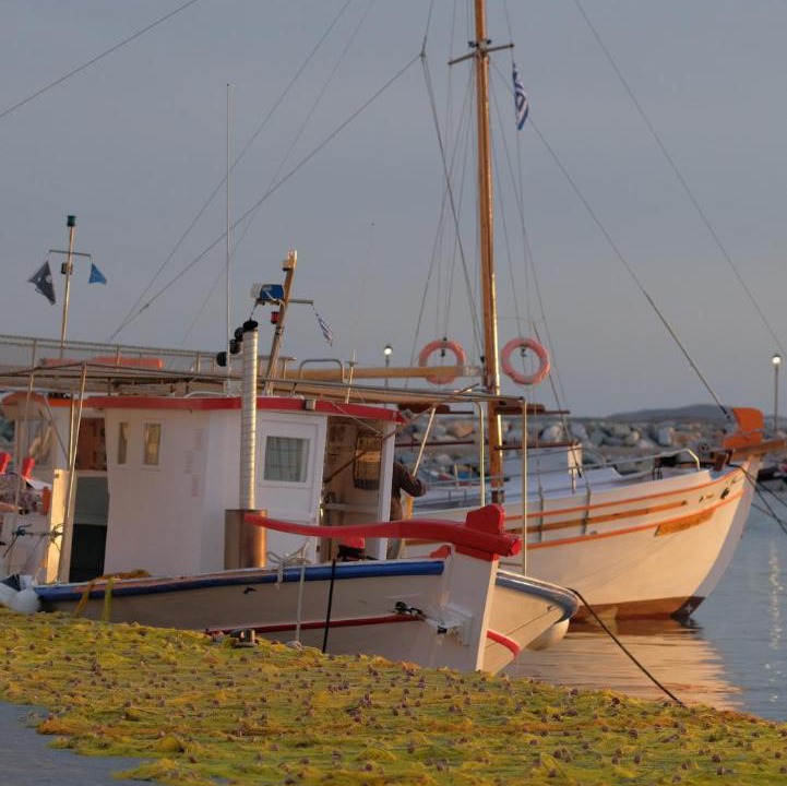 Photo of Others in Aliki