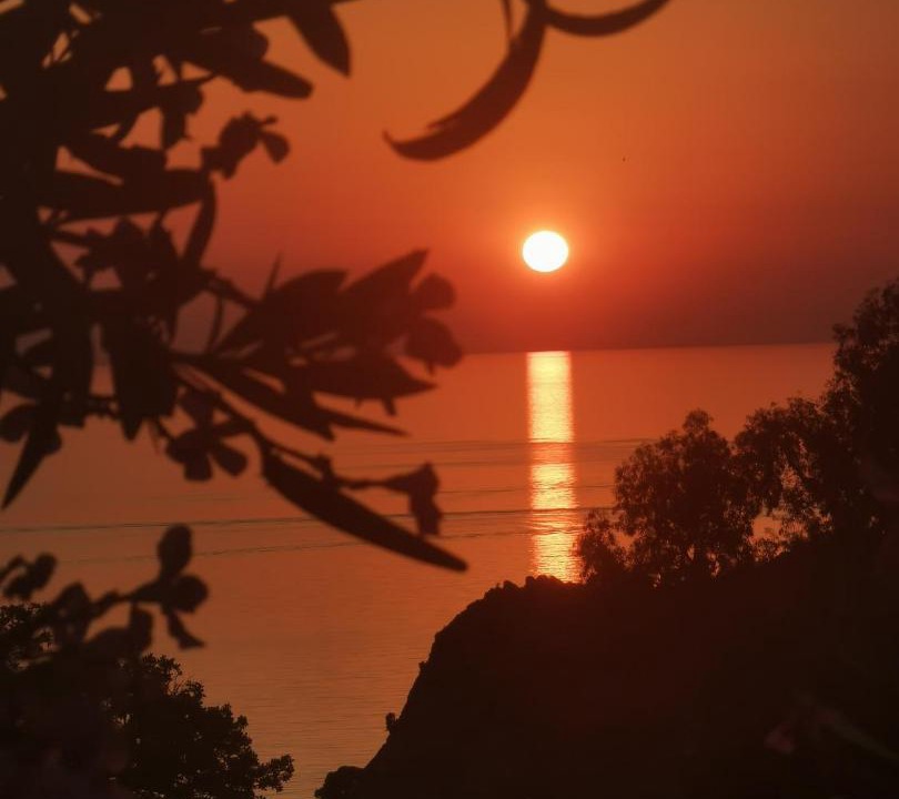 Photo of Others in Lesbos
