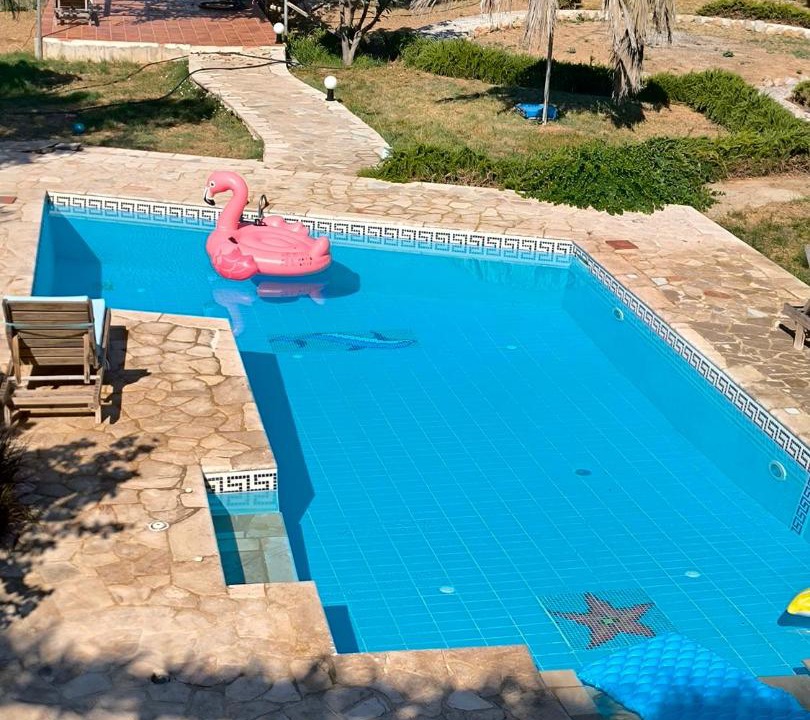 Photo of Others in Kilada