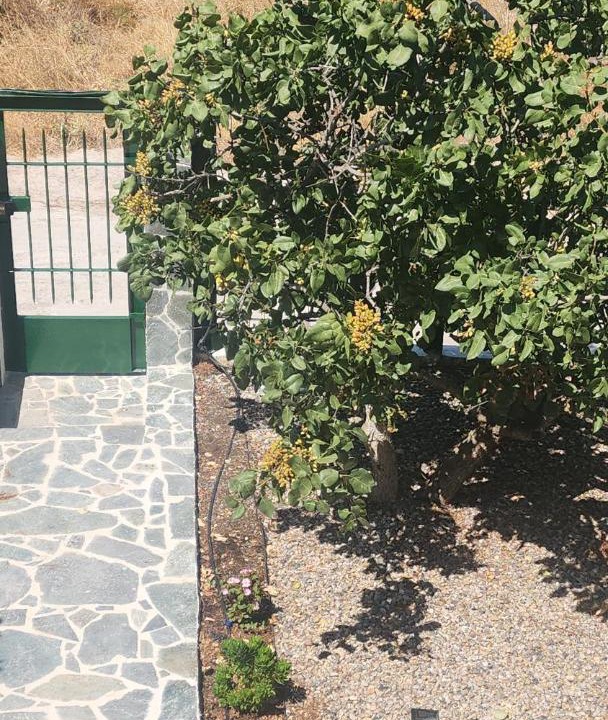 Photo of Outdoor in Salamis