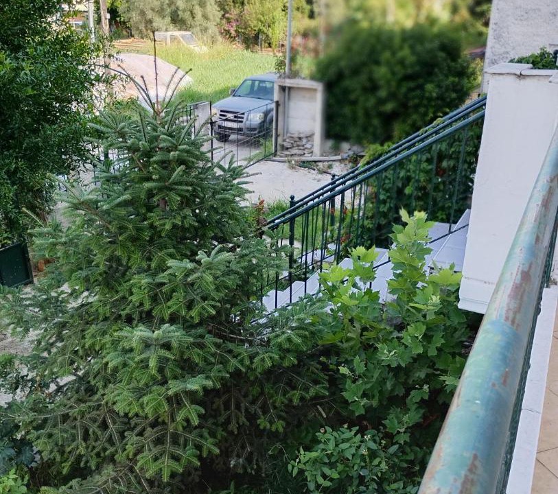 Photo of Others in Karpenisi