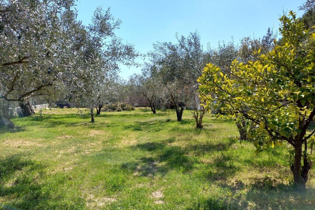 Photo of Others in Eleftheres