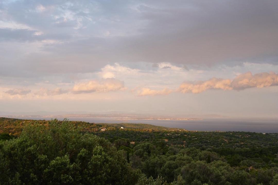 Photo of Others in Ionia