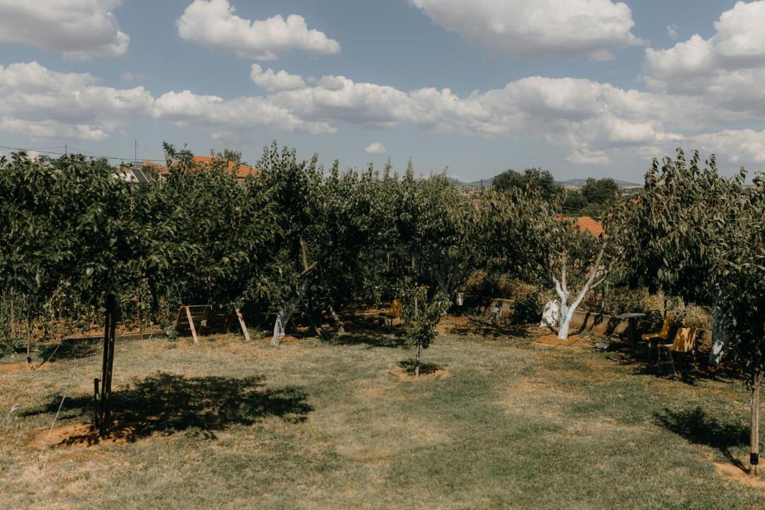 Photo of Others in Kilkis