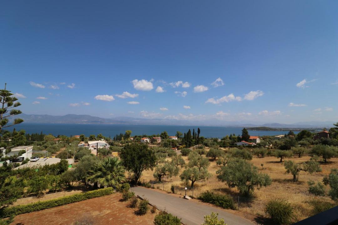 Photo of Others in Chalcis