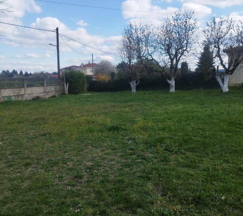 Photo of Others in Ampelokipi