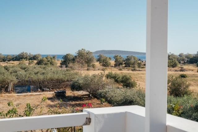 Photo of Others in Aliki