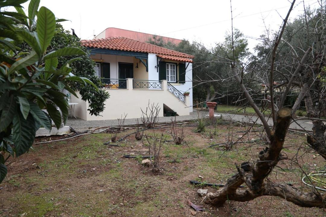 Photo of Others in Selinia