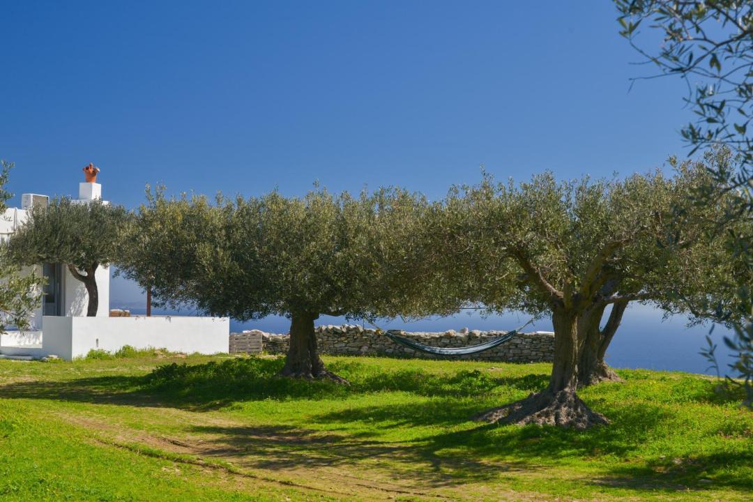 Photo of Others in Sifnos