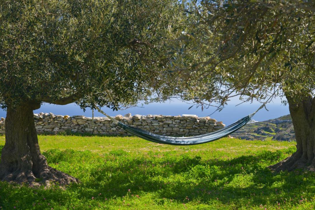 Photo of Others in Sifnos