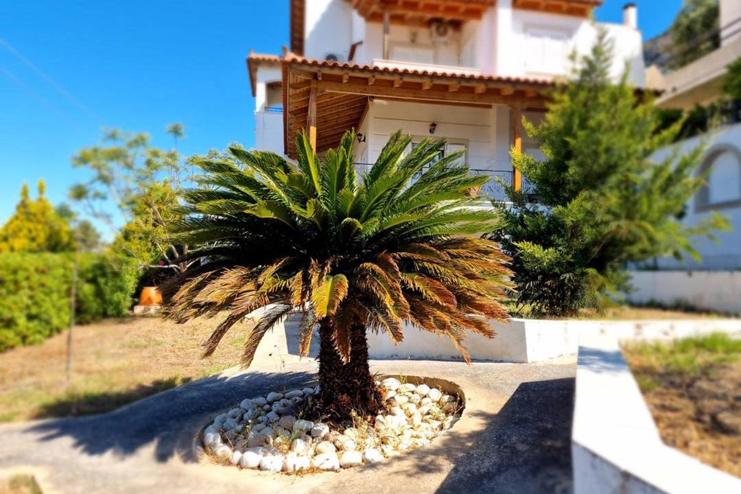 Photo of Others in Porto Rafti