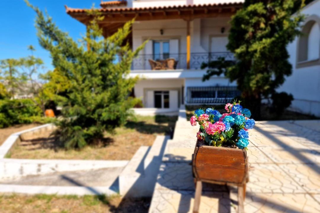 Photo of Others in Porto Rafti