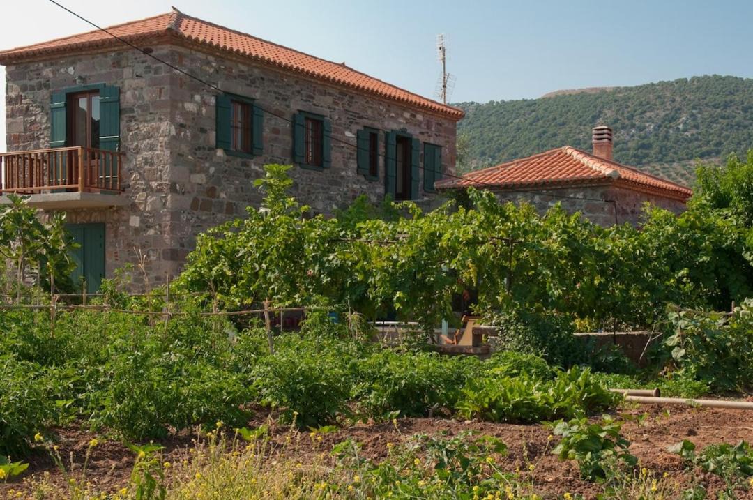 Photo of Others in Eresos-Antissa