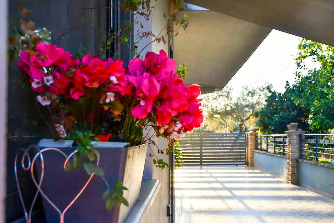 Photo of Patio Balcony in Agrinio
