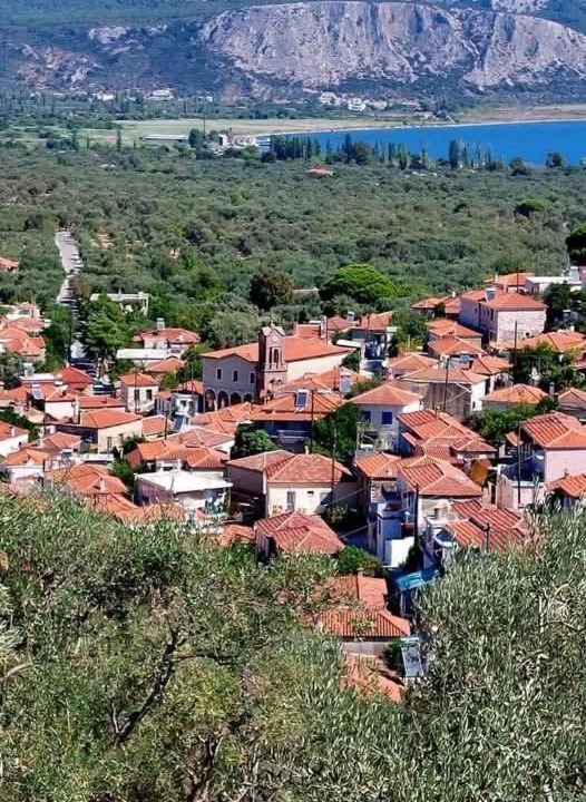 Photo of Others in Lesvos