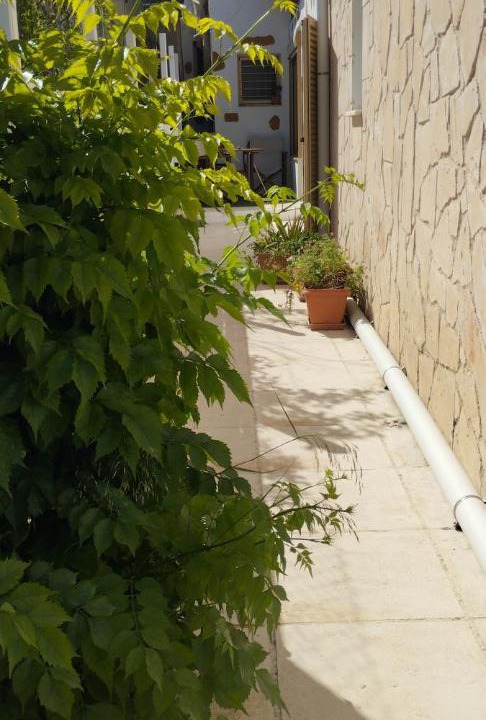 Photo of Others in Kontos