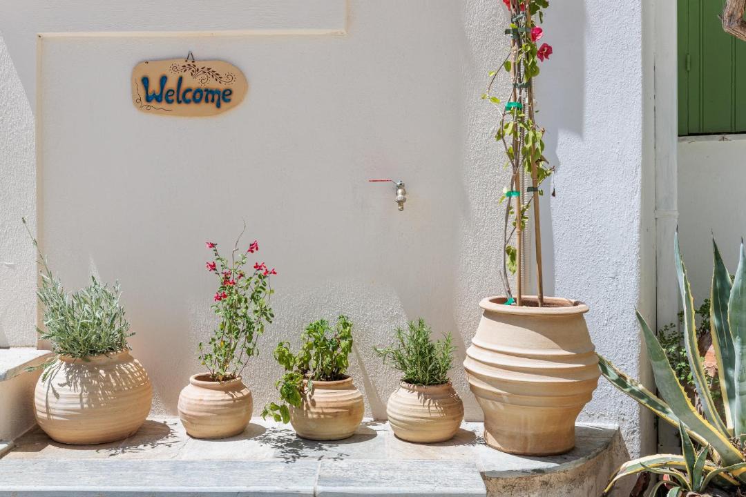 Photo of Others in Skopelos