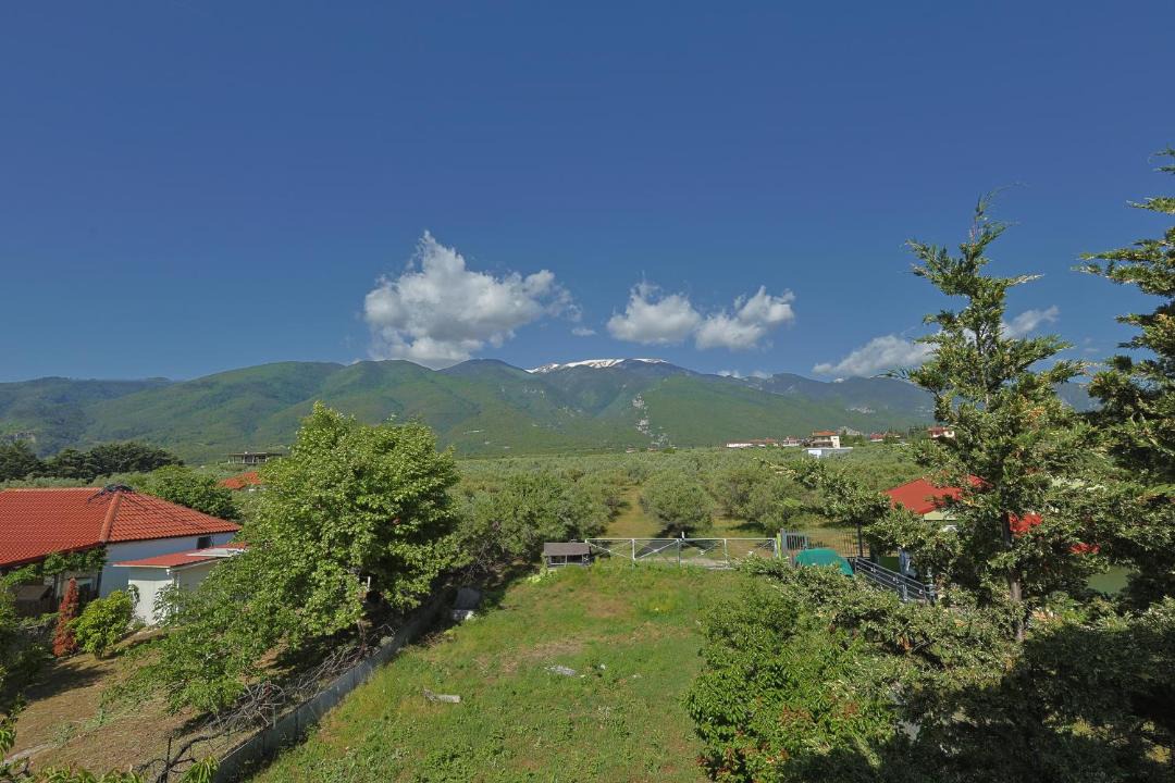Photo of Others in Anatolikos Olimpos