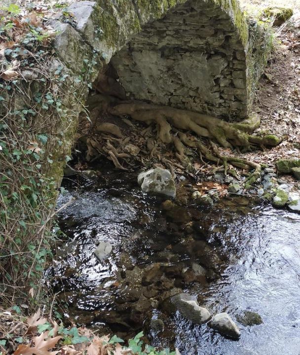 Photo of Others in Vitina