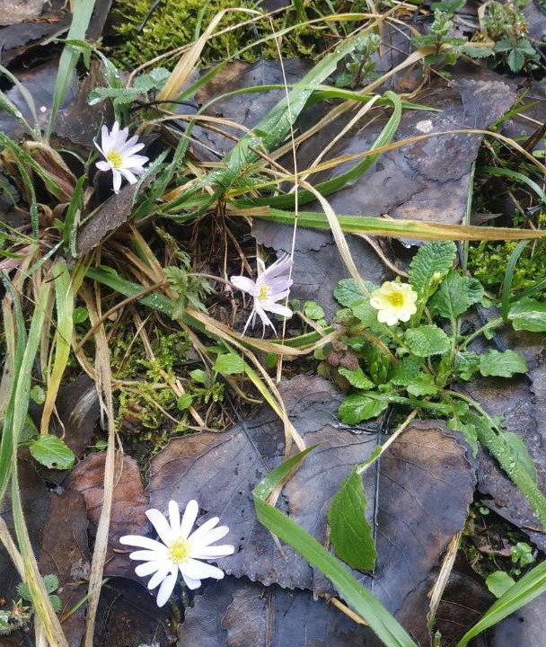 Photo of Outdoor in Vitina