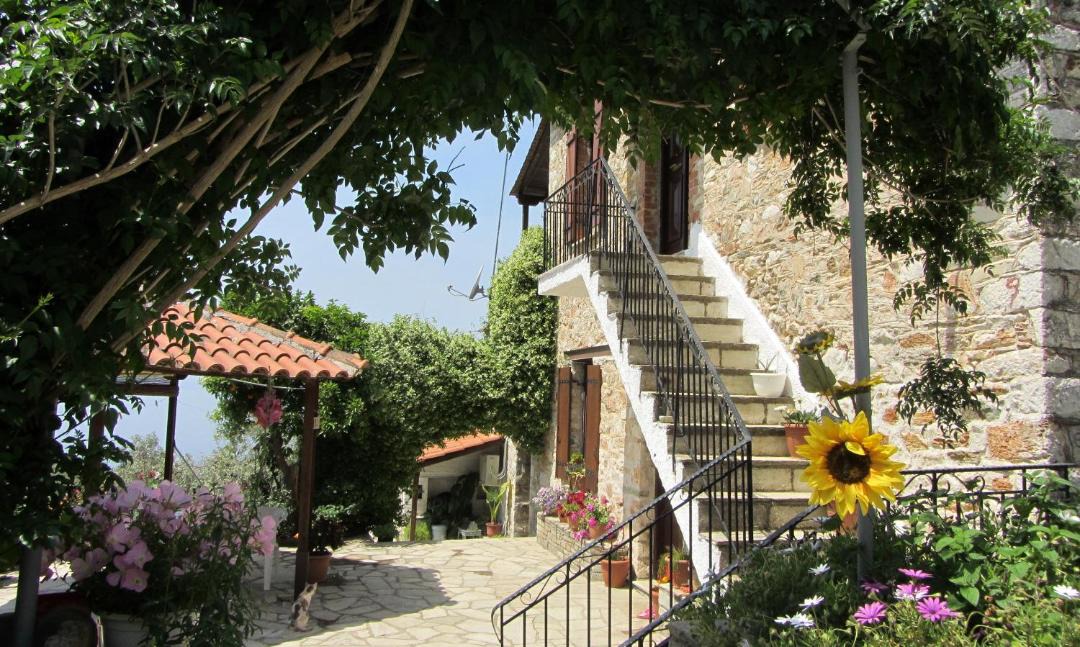 Photo of Others in South Pelion