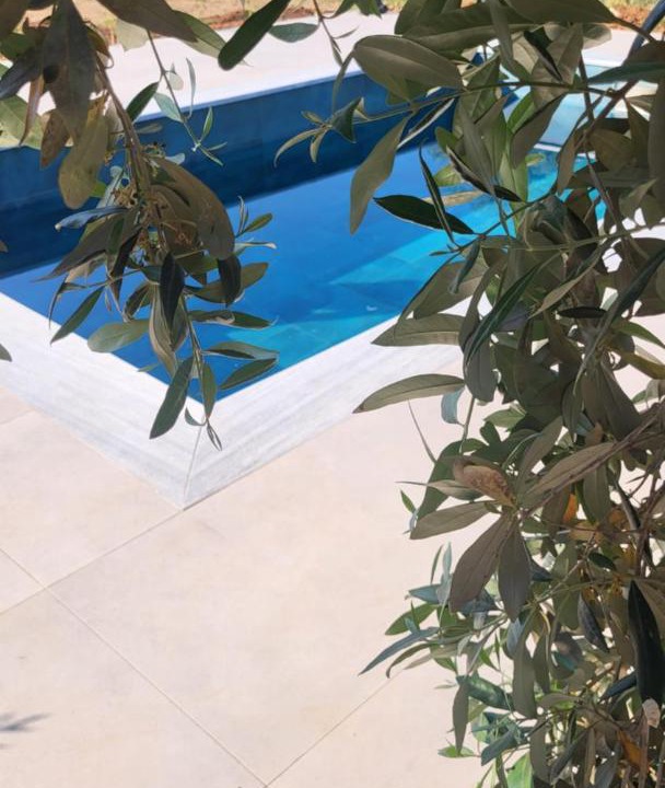 Photo of Others in Skala Potamias