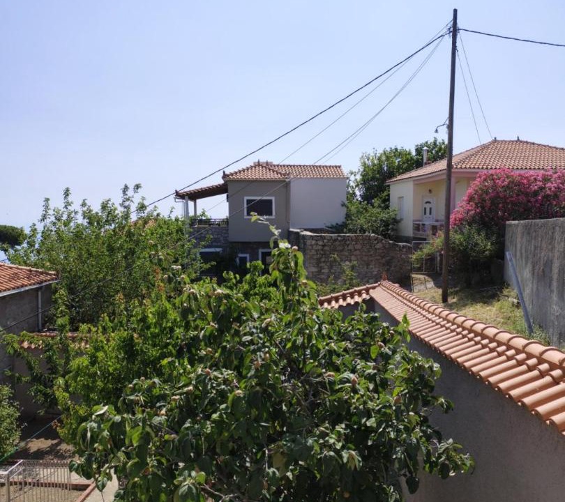 Photo of Others in Kleio