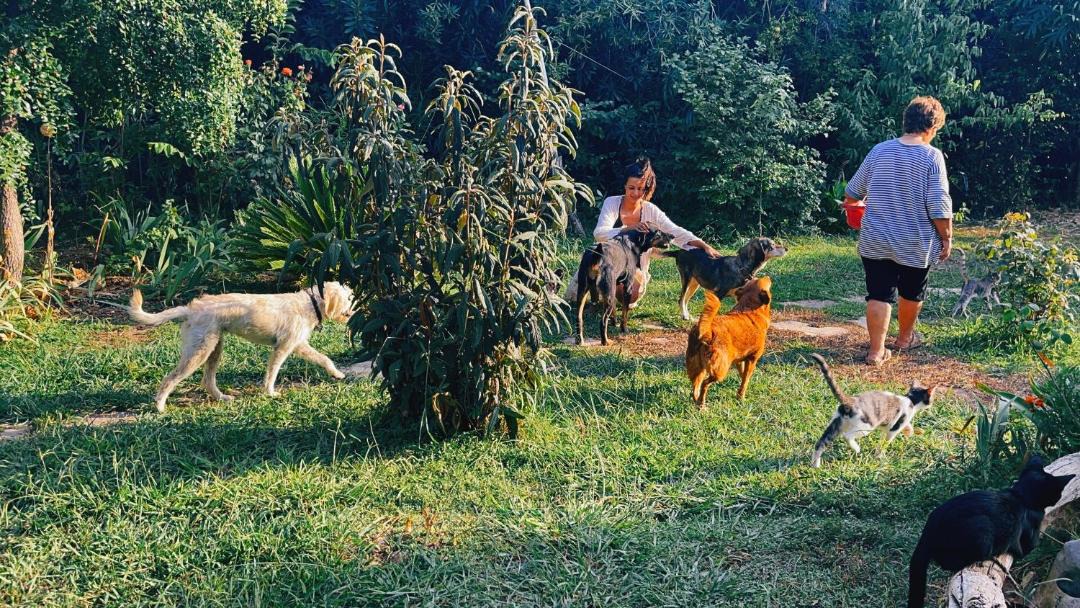 Photo of Others in Aigialeia