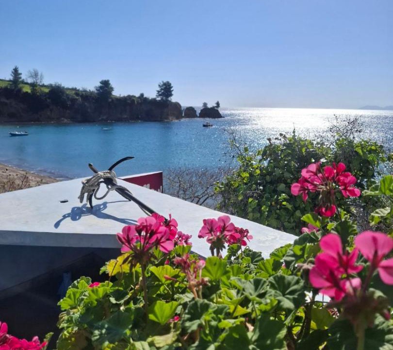 Photo of Others in Chalkidiki Region