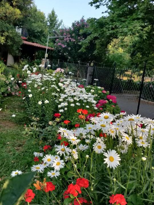 Photo of Outdoor in Therma