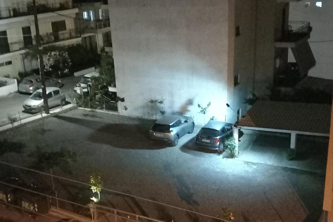 Photo of Others in Tripoli