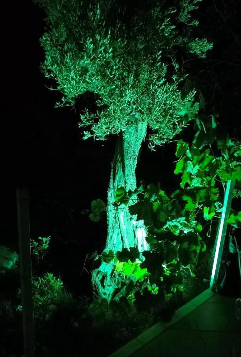 Photo of Outdoor in Makri