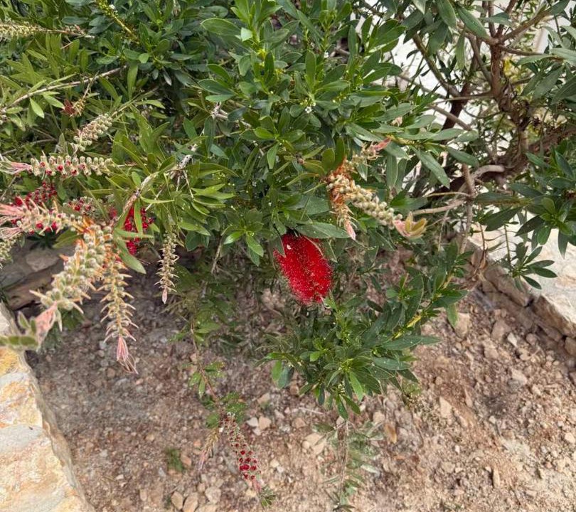 Photo of Outdoor in Votsi