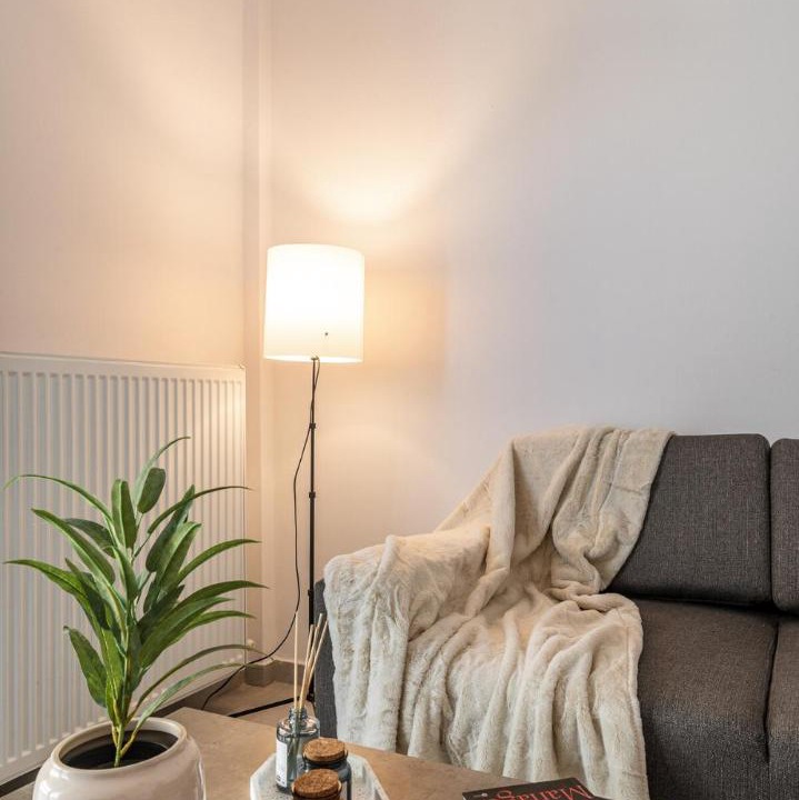 Photo of Livingroom in Goudi