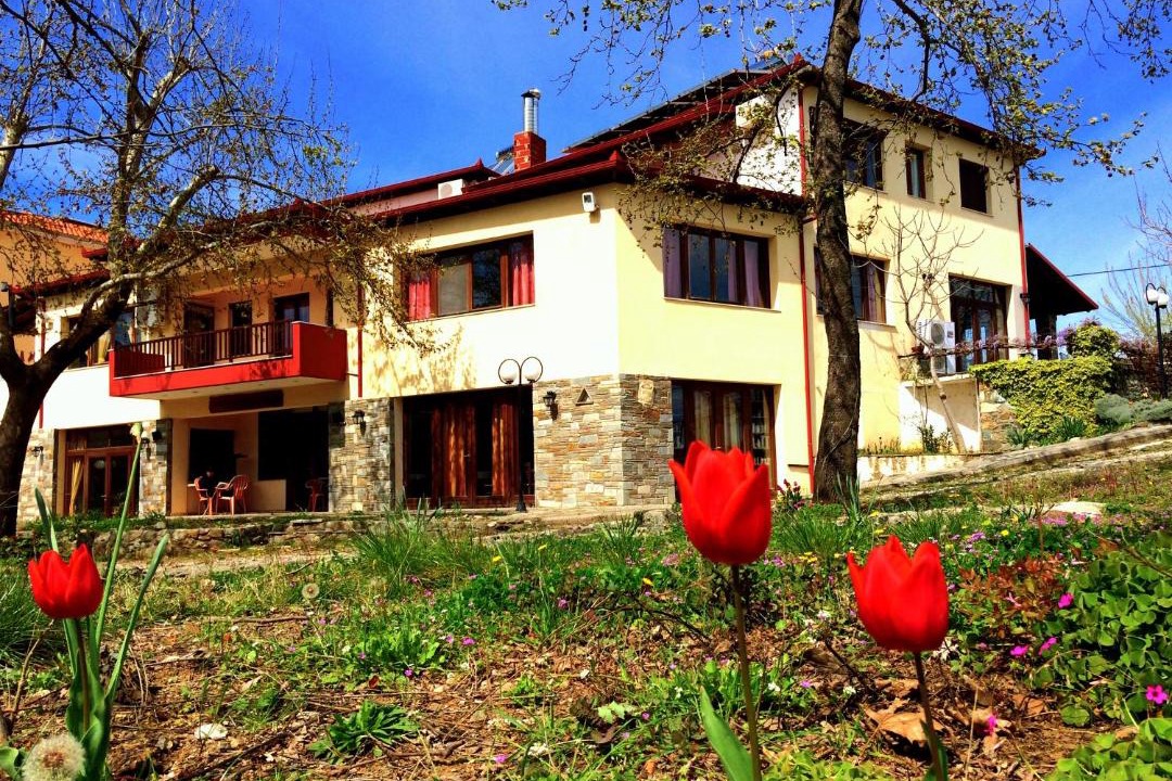 Photo of Others in Vergina