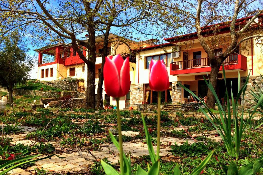 Photo of Others in Vergina
