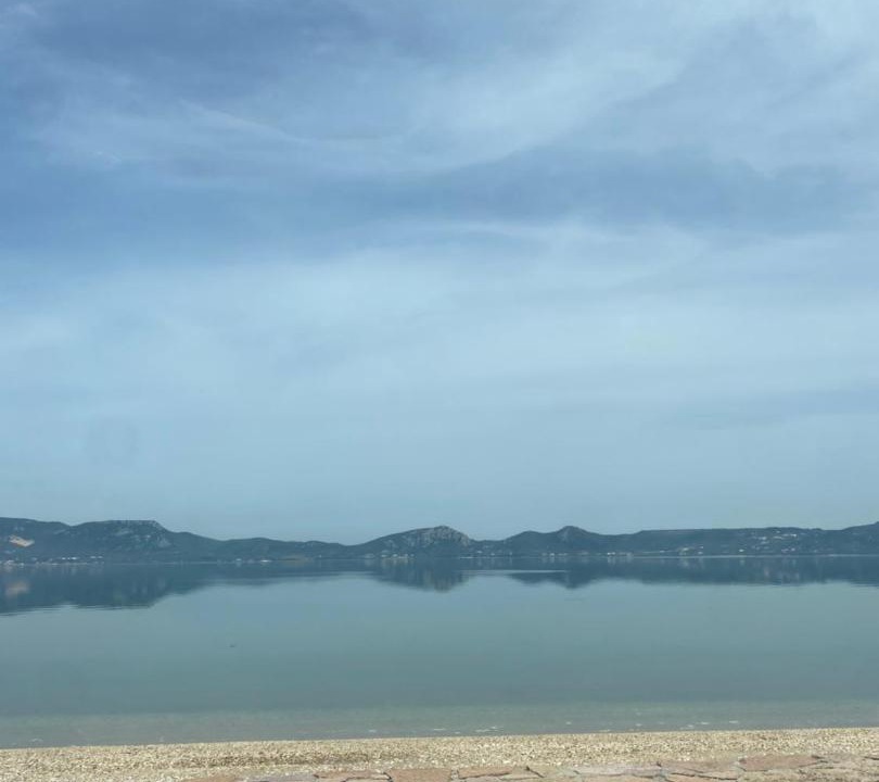 Photo of Others in Lesvos