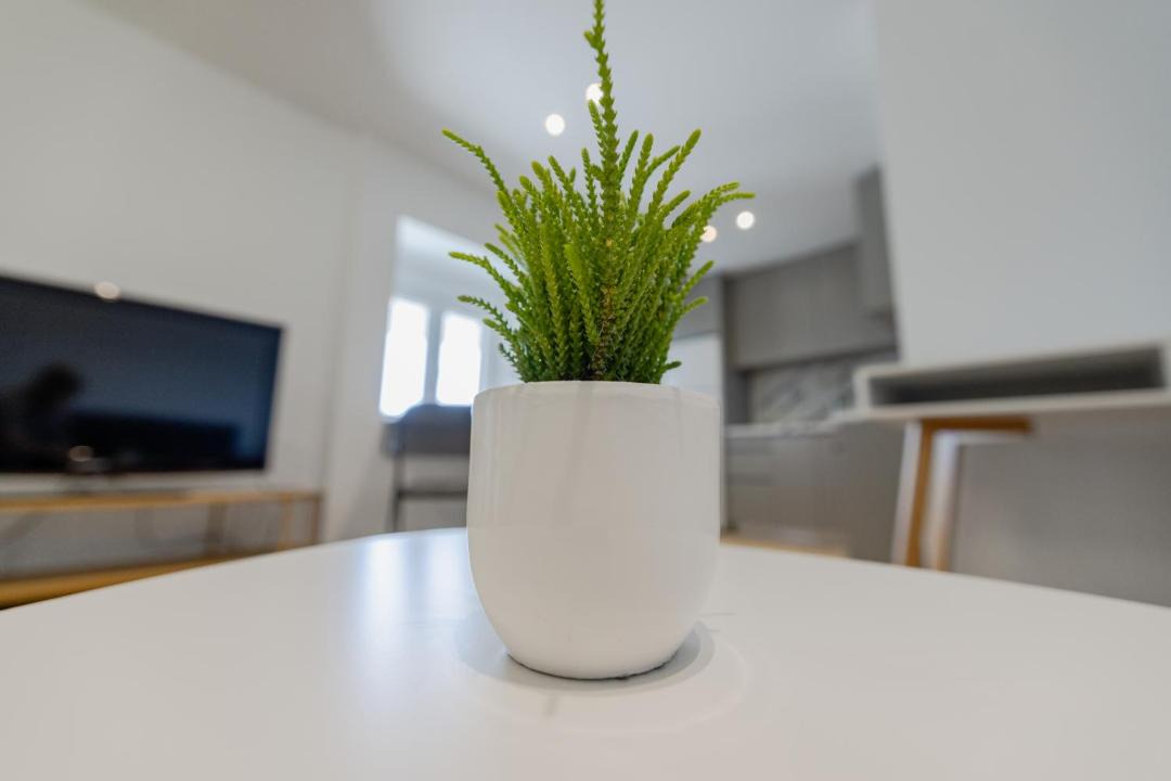 Photo of Others in Sipiada