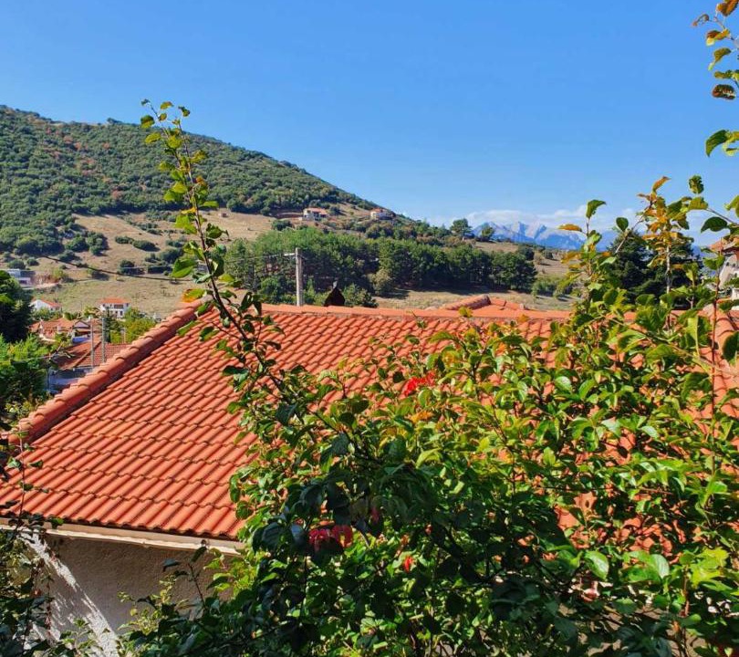Photo of Others in Kalavrita