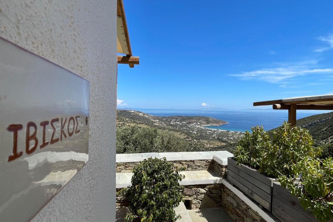 Photo of Others in Platis Gialos
