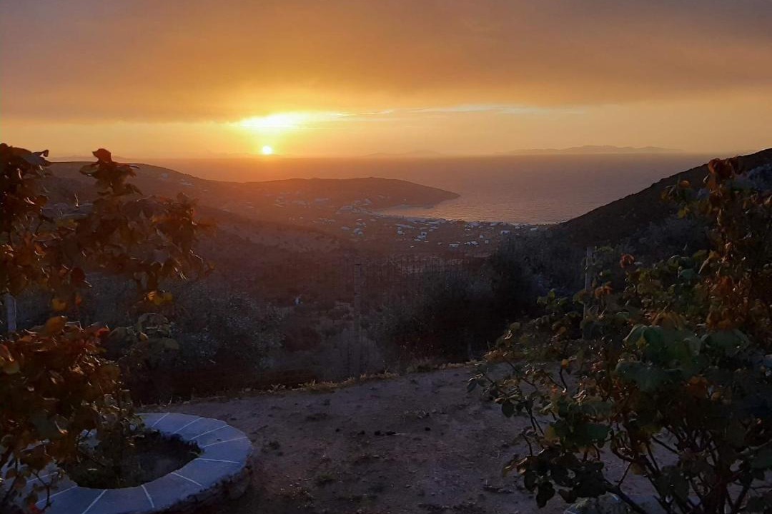 Photo of Others in Platis Gialos