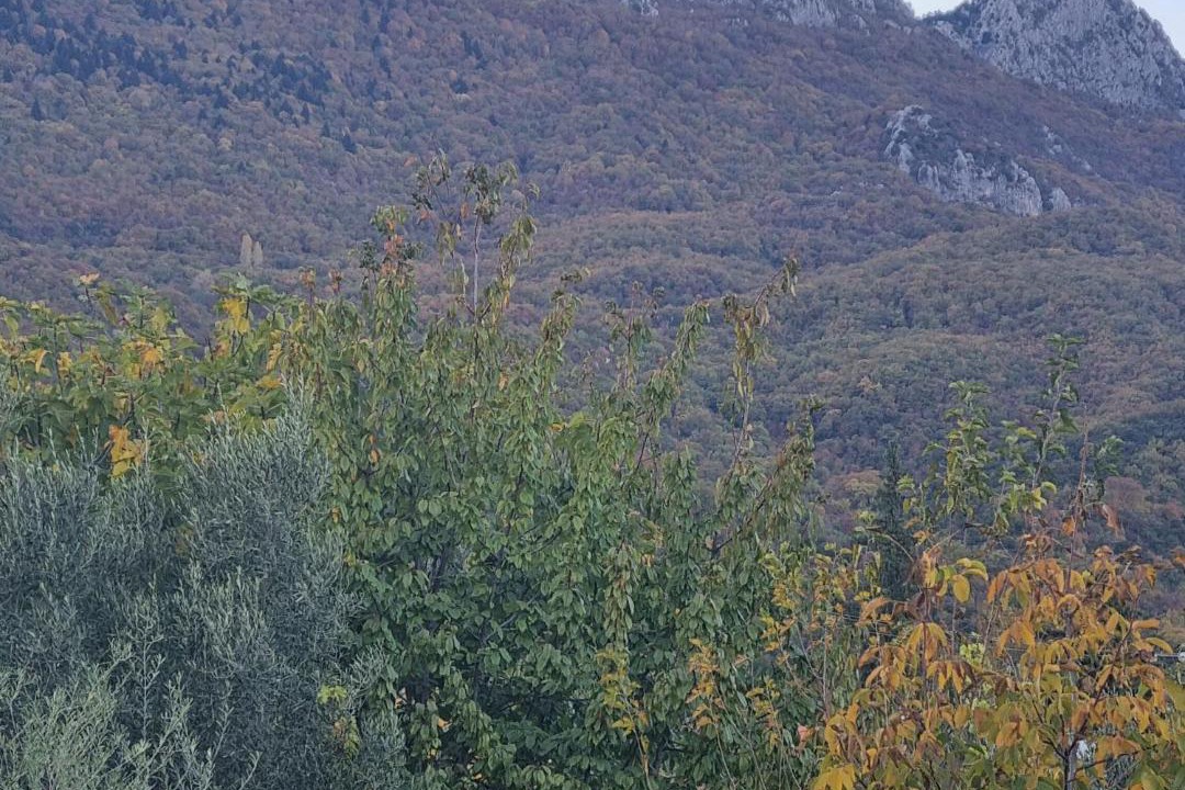 Photo of Others in Mavromati