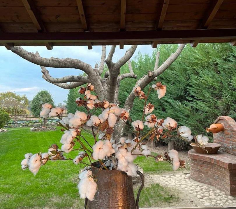 Photo of Others in Trikala