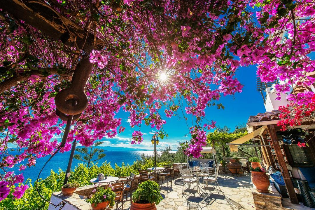 Photo of Others in South Pelion