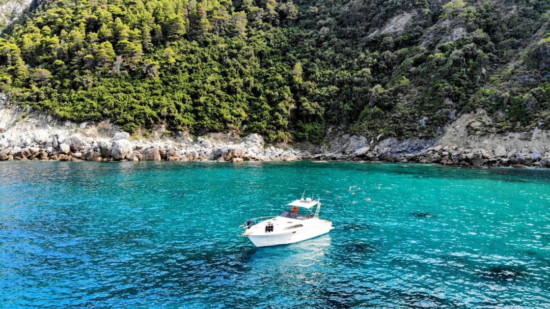 Photo of Others in Skopelos