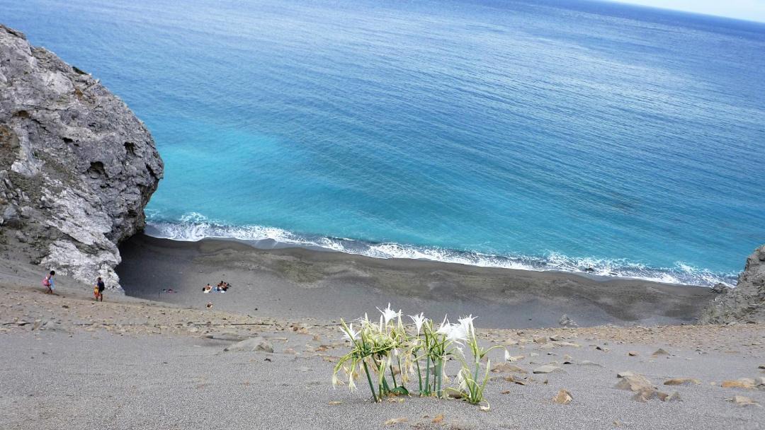 Photo of Others in Agios Vasileios