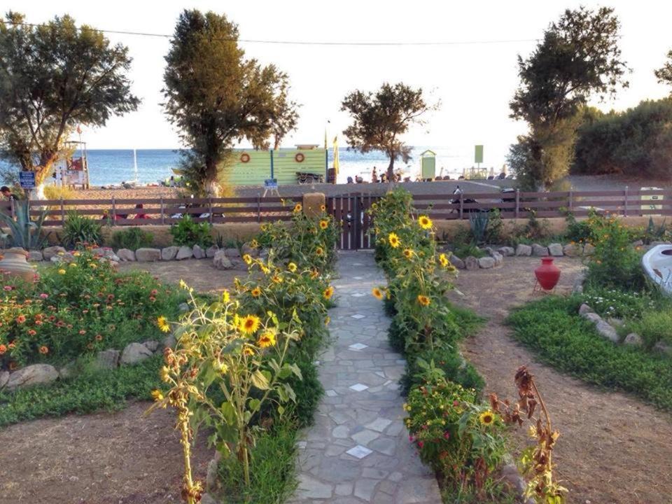 Photo of Others in Skala Eresou