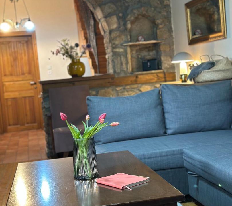 Photo of Livingroom in Florina
